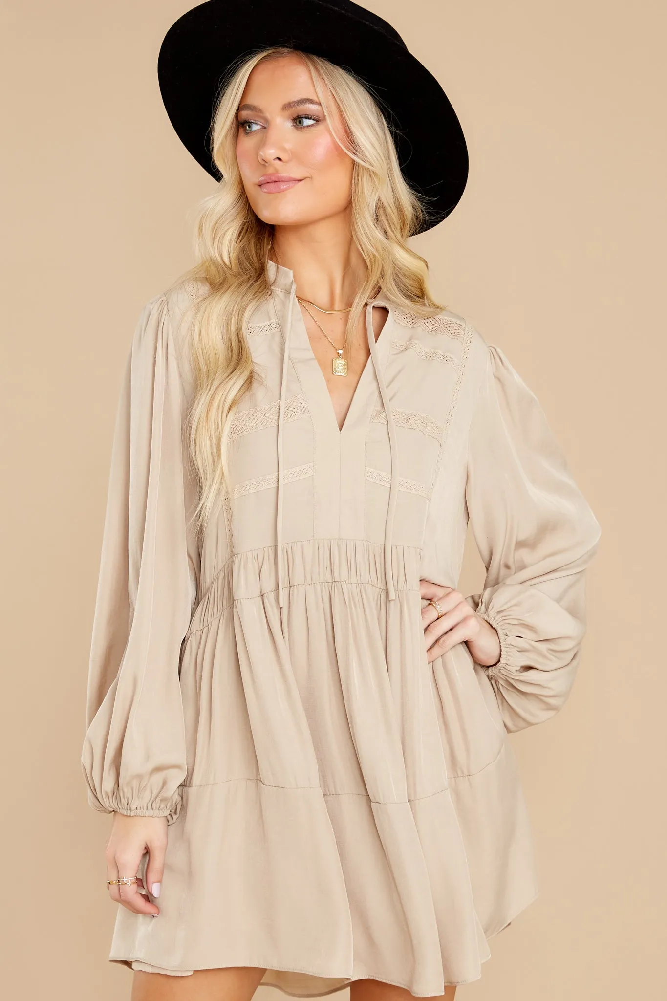 Consider It Done Taupe Dress