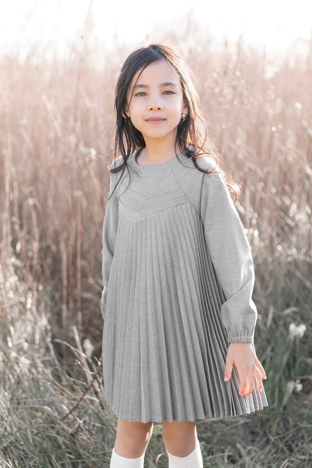 Heather Grey Pleated Dress